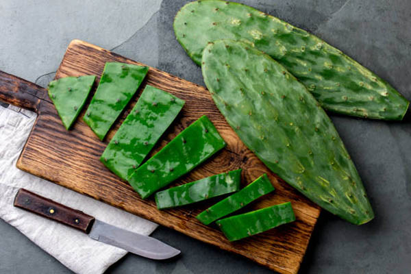 Nopal for weight loss